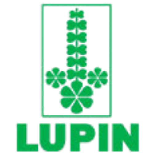 Lupin